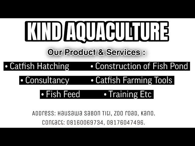 Live streaming of KINDNESS FISH FARM & GENERAL SERVICES