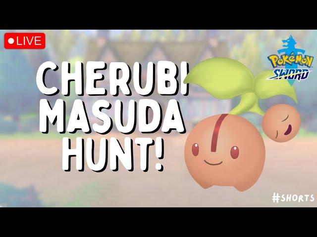  SHINY CHERUBI HUNT! (masuda method) | Live Stream | Pokémon Sword #shorts