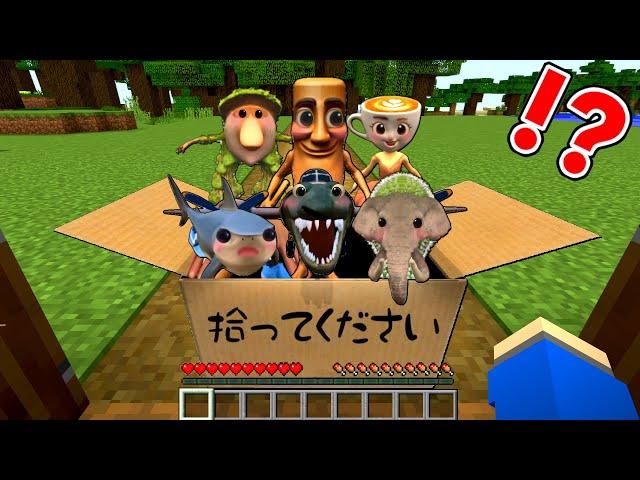 捨てられたイタリアンブレインロットの赤ちゃんを育てるマインクラフト【マイクラ】ぽっぴんず