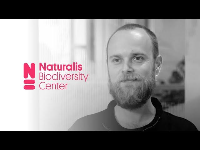 Naturalis Biodiversity Center brings simplicity to their campus network with NVIDIA Cumulus