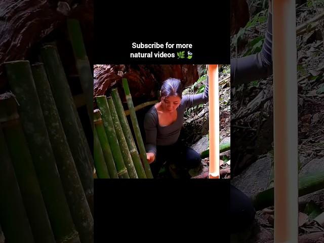 Woman Building Wooden House in Forest | Jungle Survival Treehouse | Off-Grid Living