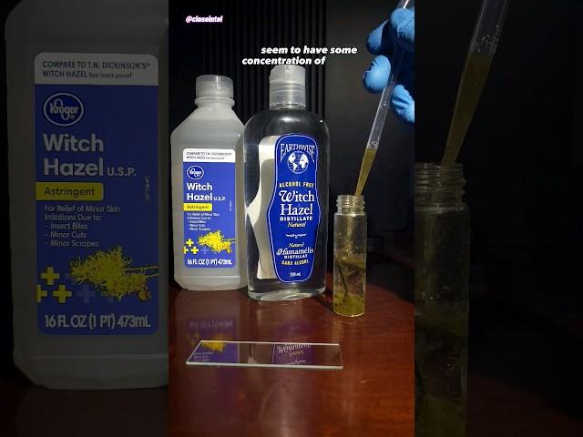 Witch Hazel vs Germs Under Microscope #microbiology #microscope #science