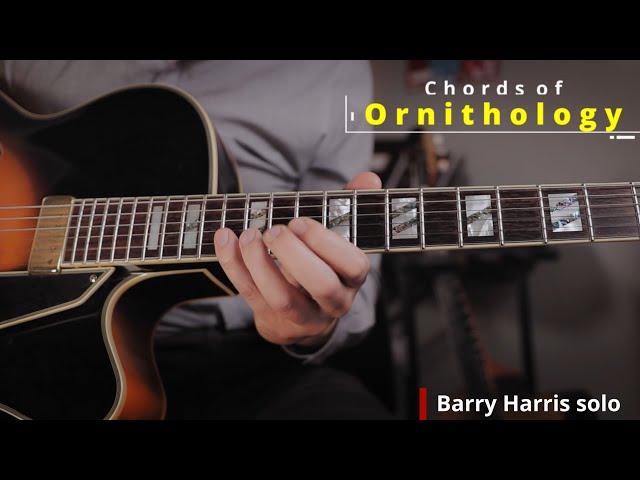 Ornithology B. Harris solo #Shorts