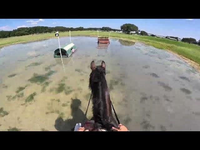 GoPro: Capo dei Capi (Open Preliminary | 2024 Ocala Summer II Horse Trials)