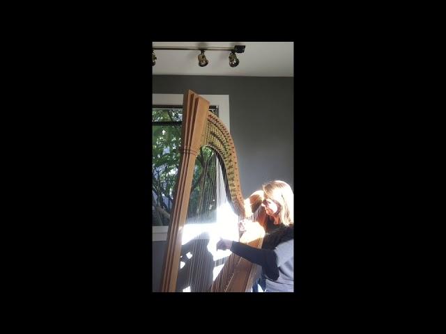 Moondance on harp