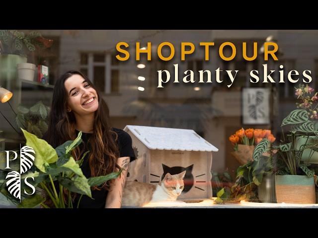 Mein Zimmerpflanzen-Shop in Berlin  | Entdecke planty skies!