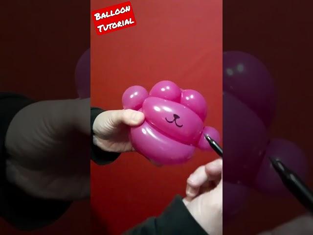 How to Make a Balloon Cat | Balloon Animals for beginner #ballooncat #balloonanimals #balloonart