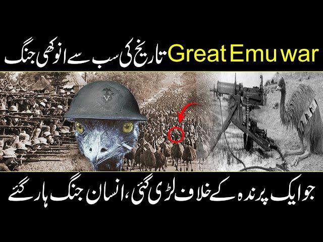 The Great EMU War | How Australia Lost War Against Birds ? In Urdu and Hindi