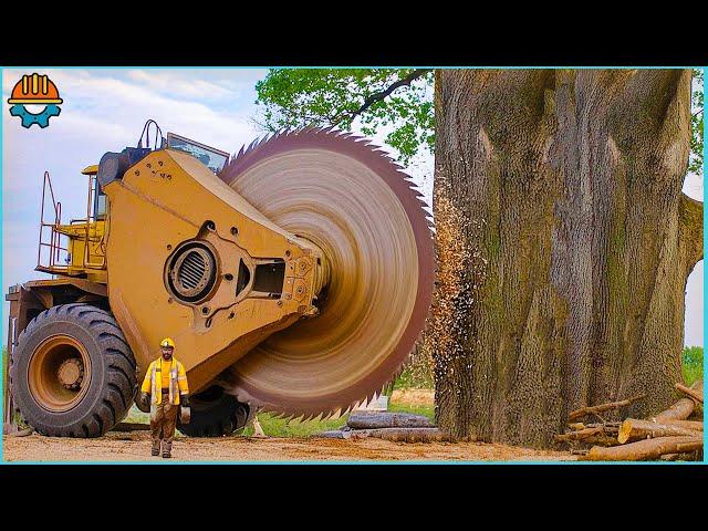 150 Fastest Big Chainsaw Cutting Tree Machines Skills | Tree Felling Climbing With Chainsaw