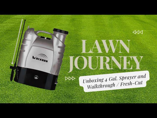 $59 4 Gallon Battery Powered Backpack Sprayer Review and Lawn Overview - Lawn Journey Vlog 2