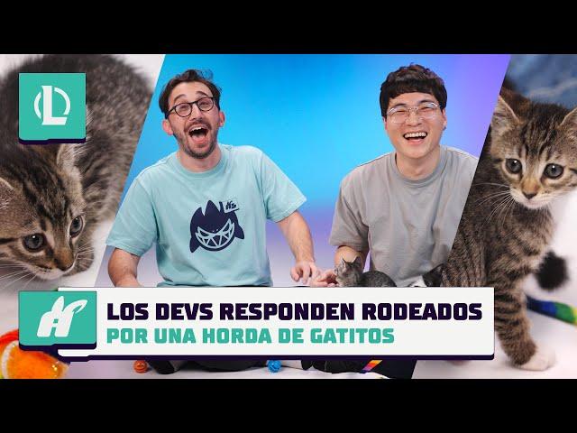 Los devs responden preguntas rodeados por una horda de gatitos | League of Legends