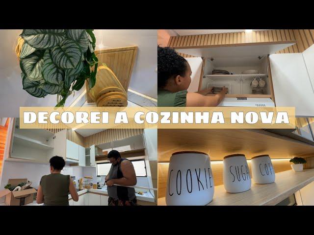 DECOREI A COZINHA NOVA | ORGANIZAÇÃO FINAL + APARECEU UMA COBRA CORAL | FICOU INCRÍVEL A COZINHA!!