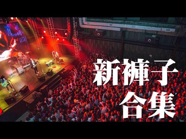 乐队的夏天 新裤子歌曲合集