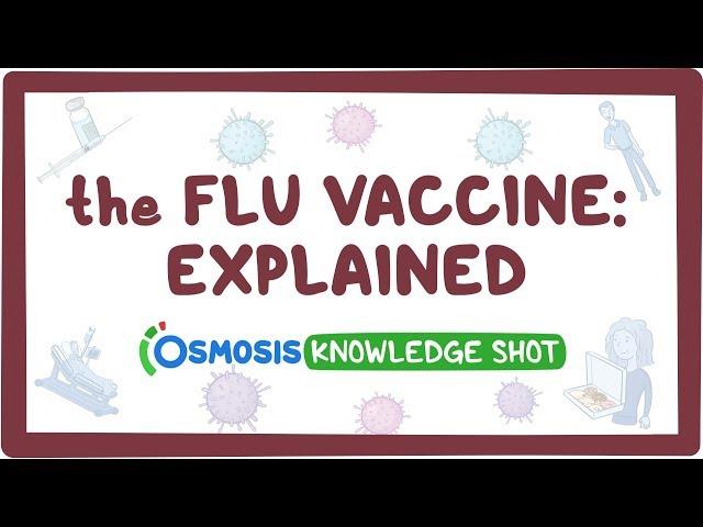 The flu vaccine: explained