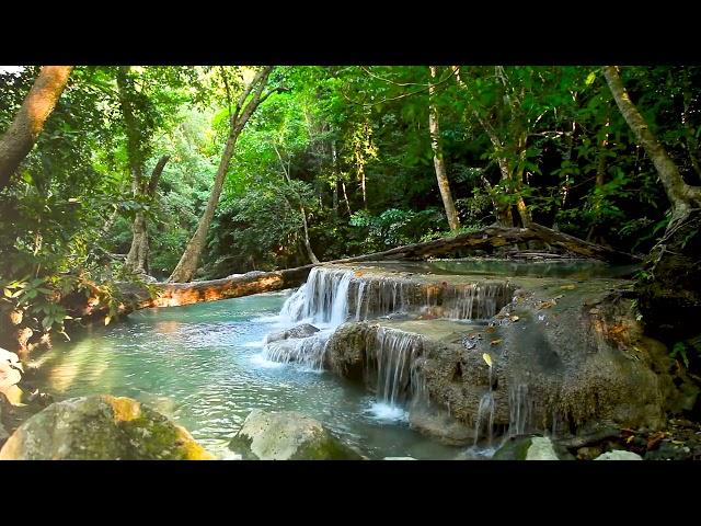 10 Hours Small Waterfall in the forest. Relaxing Nature Sounds, Waterfall. White Noise for Sleeping.