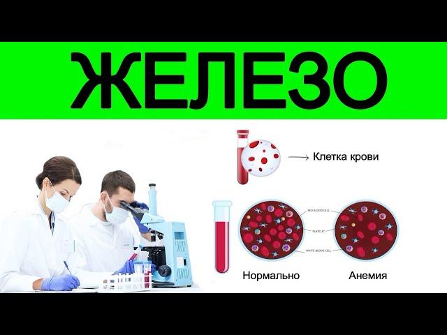 Продукты которые нужно употреблять для восполнения дефицита железа при анемии