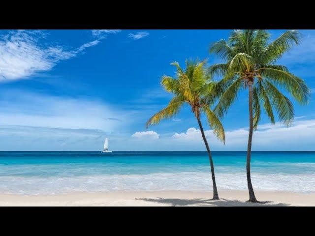 Best Real Estate Agents    Homes for sale Fort Myers   Naples FL  Southwest Florida Homes for Sale