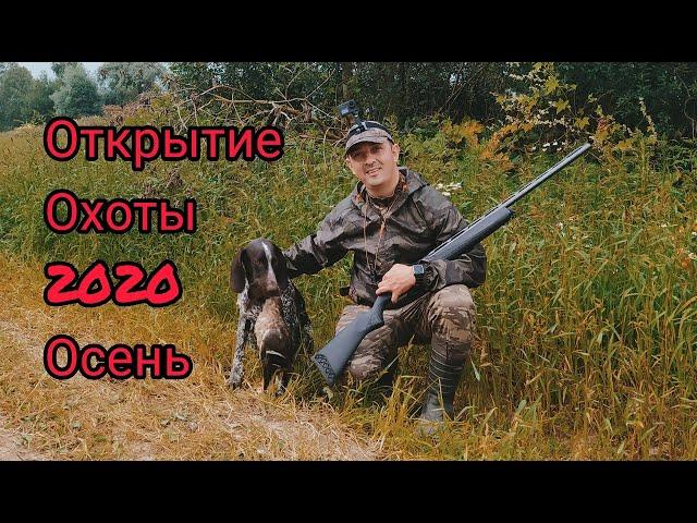 Открытие охоты   осень 2020! Охота на утку - Duck Hunting! Первая охота курцхаара Ричарда )