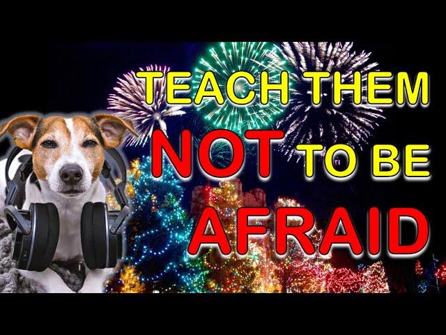 Firework sounds for dogs - 1 hour of fireworks noise desensitization