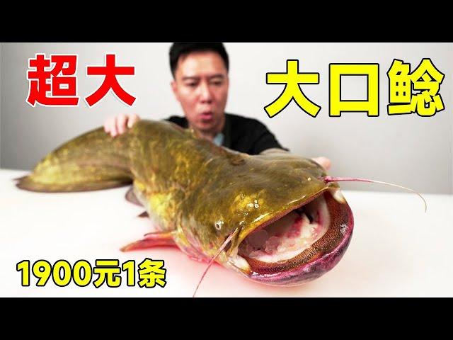 Shocked! 1900 yuan to buy a dozens of pounds of southern catfish  cut golden  taste comparable to g