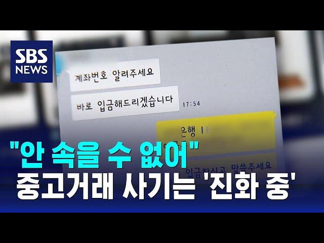 "안 속을 수 없어"…중고거래 사기는 '진화 중' / SBS