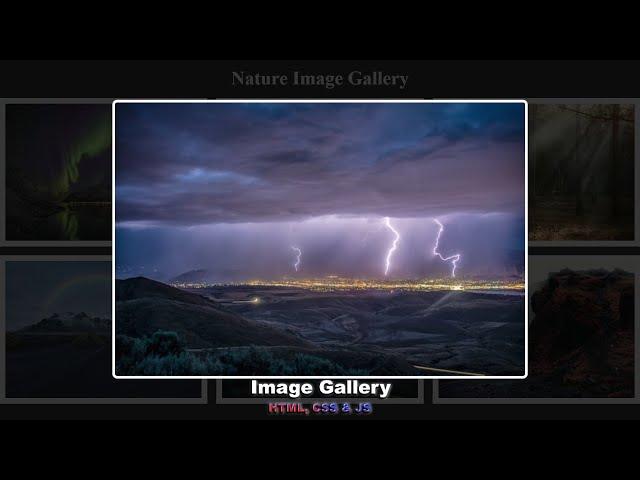 Галерея изображений используя HTML, CSS & JavaScript шаг за шагом || Pop-Up Image Gallery CSS & JS