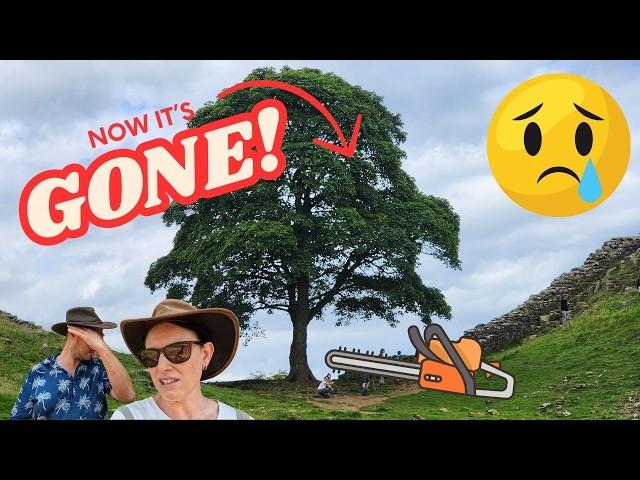 We saw it BEFORE it was GONE! | Hadrian's Wall and North Pennines England | Family Travel UK