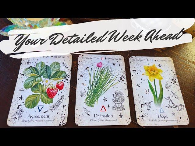 your detailed week ahead  pick a card weekly reading