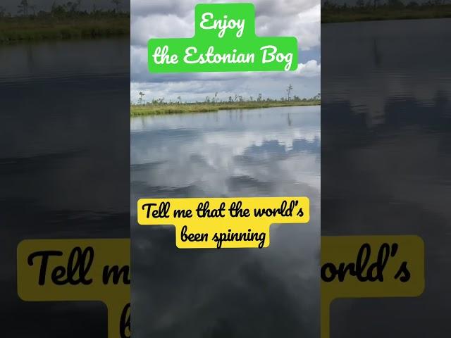 The Unforgettable Beauty of the Estonia Bog  - #travelshorts by Yours lovingly, Pavi