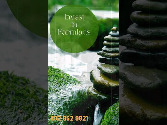 Farmlands at Low Price | Farmlands for Sale at Shadnagar | VBVRProjects #shorts #ytshorts