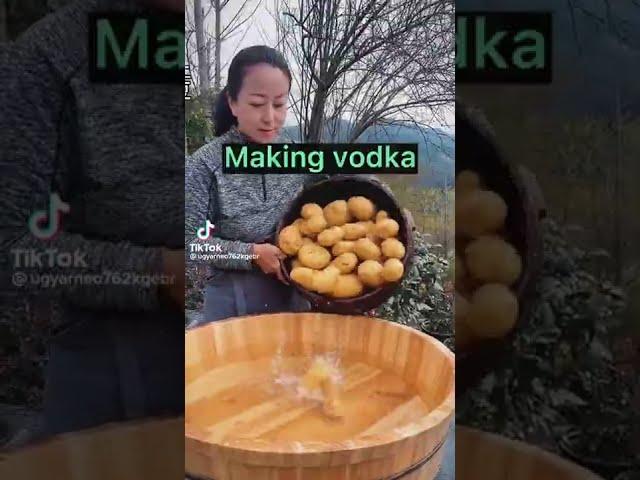 Let's Make Vodka - Tiktok Viral Videos - How to