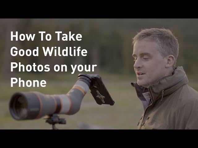 How to Take (Good) Photos of Wildlife on a Phone | Outside