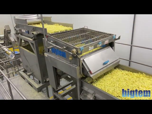 Complete Frozen French Fries Production Line