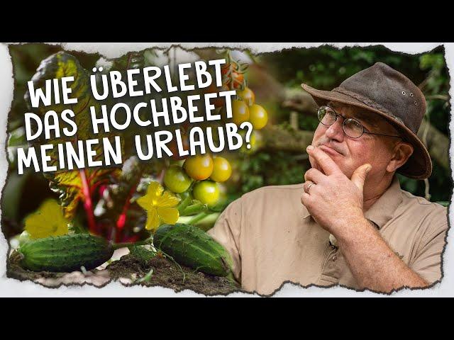 Unser Hochbeet düngen, ernten und Bewässerung installieren 