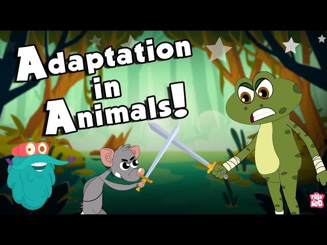 ANIMALS ADAPTATION | How Adaptation In Animals Work? | The Dr Binocs Show | Peekaboo Kidz