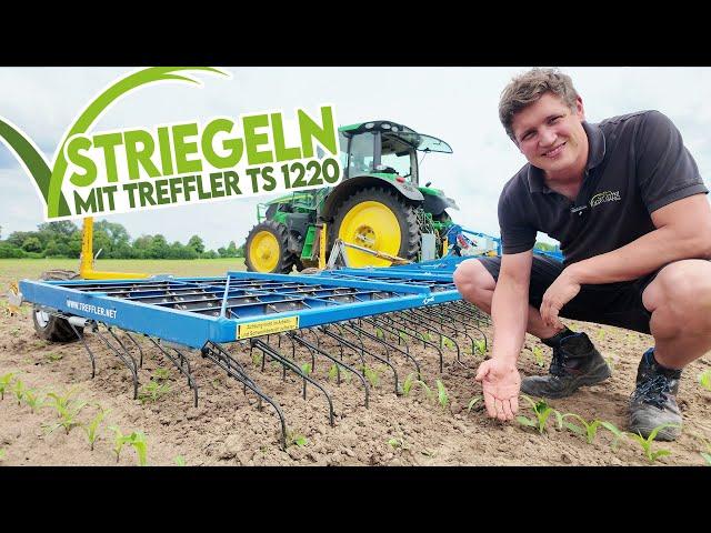  Striegel richtig einstellen: einfache Maschine, viele Möglichkeiten! Treffler TS 1220 M3