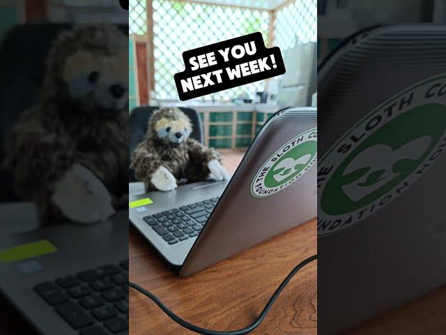 This week at The Sloth Conservation Foundation #2