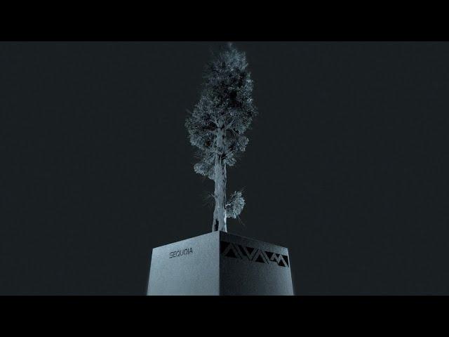 SDM -  SEQUOIA (Visualizer Officiel)