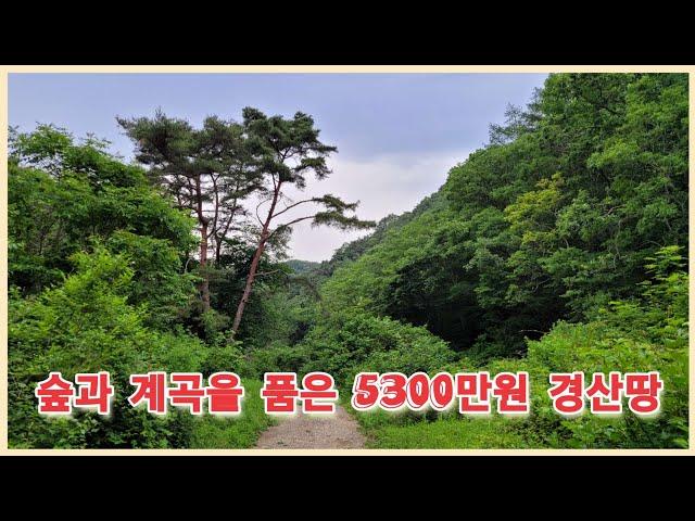 경산시 용성면 숲과 계곡을 품은 5300만원 경산땅 2920