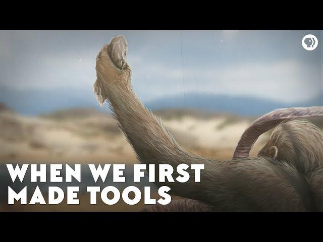 When We First Made Tools