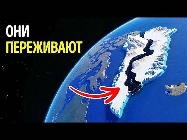 Ученые обеспокоены тем, что в Гренландии происходит что-то пугающее. Тайны дикой природы