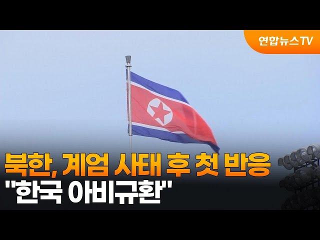 북한, 계엄 사태 후 첫 반응…"한국 아비규환" / 연합뉴스TV (YonhapnewsTV)