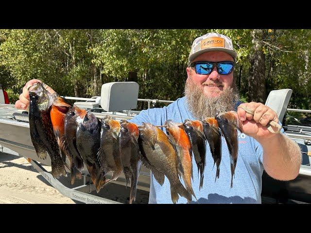 Creek Fishing for Topwater Panfish!!! {Catch Clean Cook}