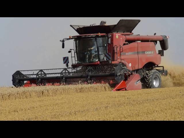 Harvester Case IH Axial Flow 6140 in wheat in southern Poland