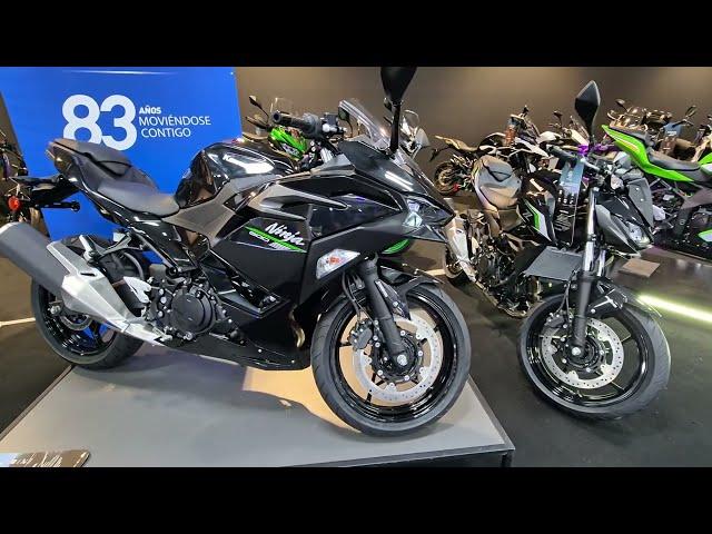 Nuevas KAWASAKI NINJA 500 y Z 500 Análisis Opiniones Novedades Precio y Ficha técnica