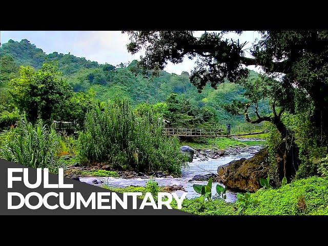 Amazing Quest: Stories from Jamaica | Somewhere on Earth: Jamaica | Free Documentary