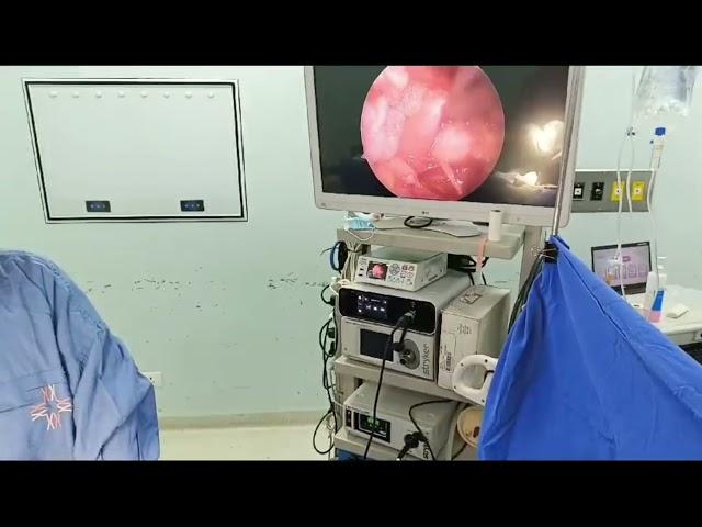 Endoscopic Disc Surgery: Live Demonstration