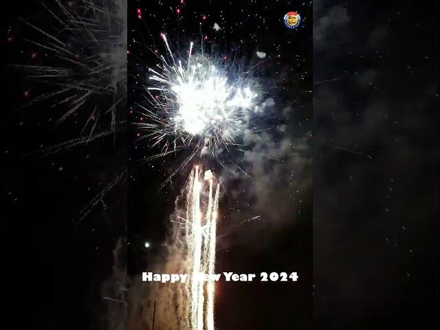 Sparkling Start: Happy New Year 2024 Illuminated with Dazzling Fireworks!  #newyear2024 #shorts