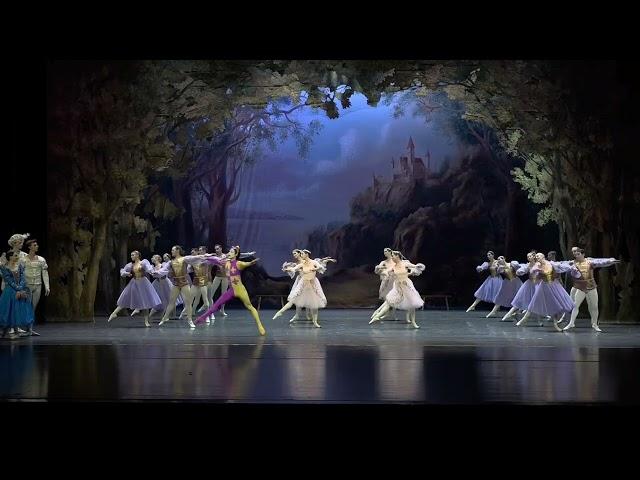 “Swan lake” ballet. Full version. HD.