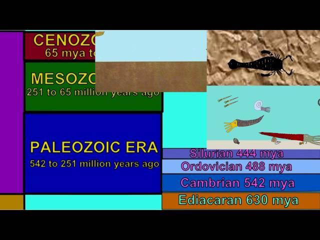 ANIMALS OF THE ORDOVICIAN & SILURIAN